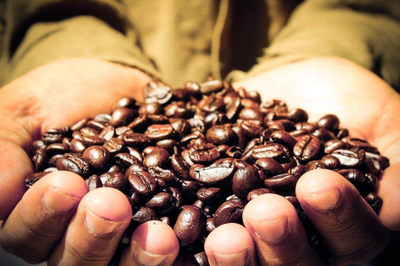 Understanding Speciality Coffee- Deciphering The Lingo – Redber Coffee