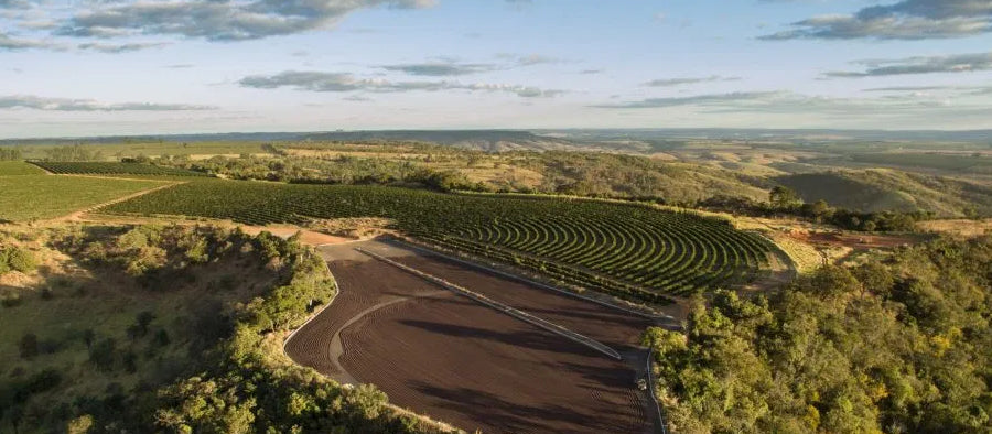 Crème de la Crema: Speciality and Micro-Lot Coffee