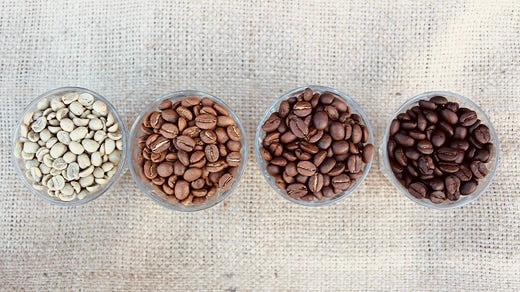 Understanding Roast Profiling - The Difference Between Medium, Medium ...