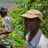 BURUNDI MURAMBI HILL - Medium Roast Coffee