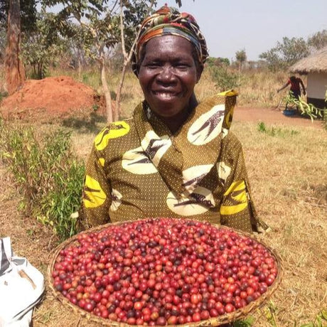 Redber, UGANDA ZOMBO - Green Coffee Beans, Redber Coffee