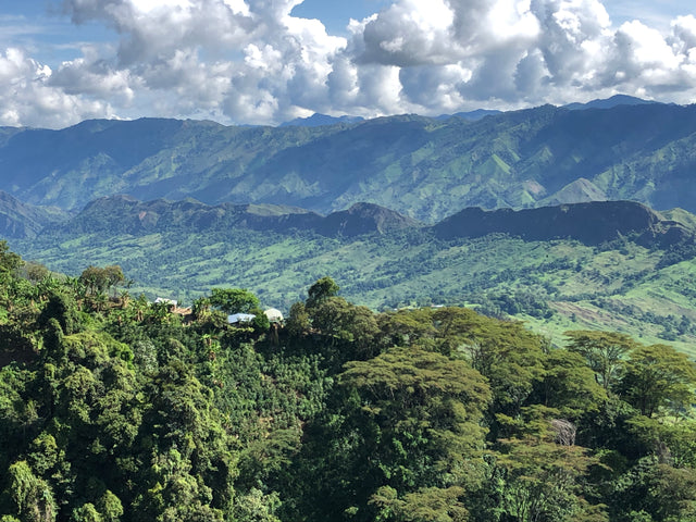 Redber, COLOMBIA PACHAMAMA - Green Coffee Beans, Redber Coffee