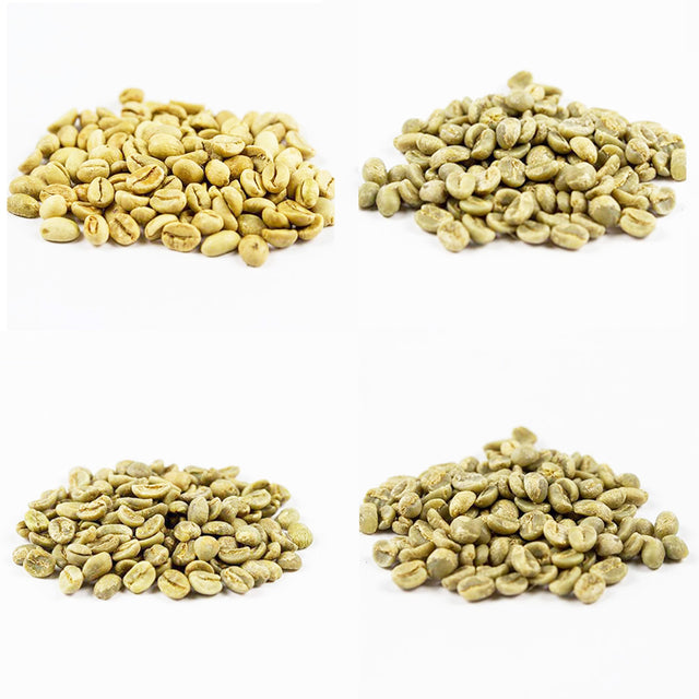 INTRO PACK Green Coffee beans I Redber Coffee