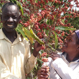 Redber Coffee, UGANDA ZOMBO - Medium-Dark Roast Coffee, Redber Coffee