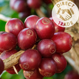 Redber, BRAZIL FINCA CACHOEIRA (NATURAL) - Dark Roast Coffee, Redber Coffee