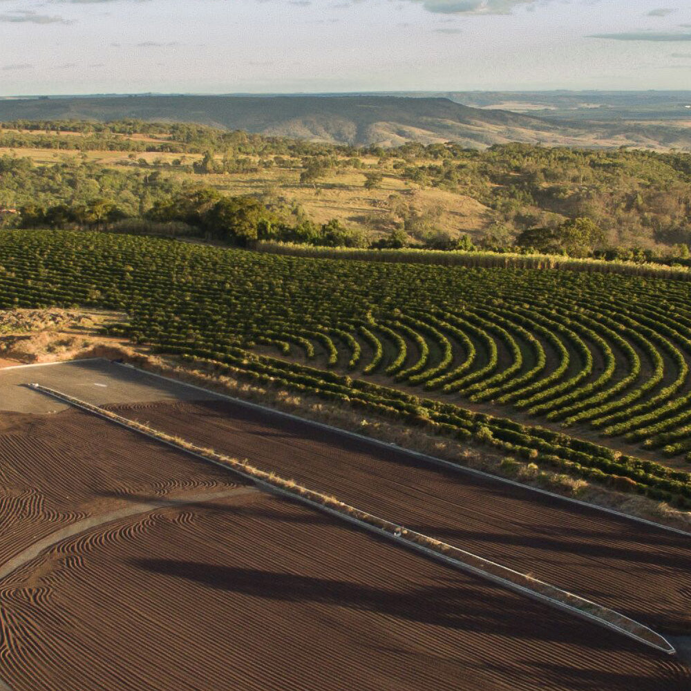 Redber, BRAZIL FINCA CACHOEIRA (NATURAL) - Dark Roast Coffee, Redber Coffee