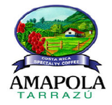 Redber, COSTA RICA AMAPOLA TARRAZÚ - Dark Roast Coffee, Redber Coffee